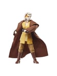 Hasbro Star Wars - The Black Series - The Acolyte - Padawan Jeckilon 15cm