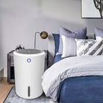 Drying Dehumidifier Condensation Moisture Damp Electric Dehumidifier Home Dryer