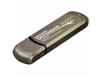 Kanguru Defender 3000, 256 Gb, Usb Type-C, 3.2 Gen 1 (3.1 Gen 1), 300 Mb/S, Keps, Grå