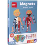 Boîte de 63 magnets Apli Kids pour apprendre le corps humain