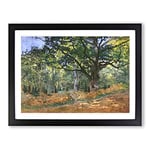 The Bodmer Oak Tree By Claude Monet Classic Painting Framed Wall Art Print, Ready to Hang Picture for Living Room Bedroom Home Office Décor, Black A2 (64 x 46 cm)