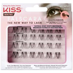 Faux-cils KISS Falscara Eyelash Wisp Multi (Diverses options) - Option : 02-Natural Wispy