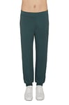 Armani Exchange Men's Debossed Logo Jogger Pant Casual, Green Gables, L