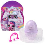 HATCHIMALS Alive, Rainbow Splash Fizzy Colour Surprise Toy, Hatch Twins or Triplets from Colour-Reveal Egg (Style May Vary), Kids’ Toys for Girls & Boys