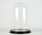 Glass Dome With Wooden Base Vintage Look Medium size 30 x 18,7 cm