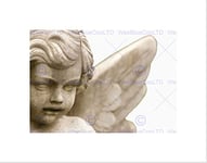 Wee Blue Coo PHOTO DETAIL STATUE CHERUB ANGEL STONE CATHOLIC FRAMED ART PRINT MOUNT B12X13297