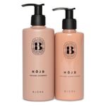 Björk Höjd Shampoo & Balsam DUO