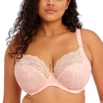 Elomi BH Lucie Underwire Stretch Plunge Bra Pudder N 80 Dame