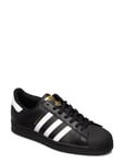 Superstar Sport Sneakers Low-top Sneakers Black Adidas Originals