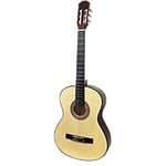 Martin Smith Acoustic Guitar W-590-N Natural