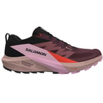 Salomon Sense Ride 5 GTX W