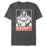 Disney Men's Snow White and Seven Dwarfs Grumpy Graphic T-Shirt, Charcoal Heather, XL