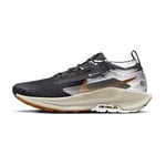 Nike Pegasus Trail 5 Gore-tex, storlek 48½