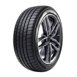 Radar DIMAX 4 SEASON 225/50R17 98 W XL