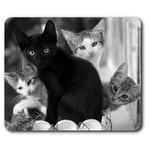 Rectangle Mouse Mat BW - Cute Kittens Black Tabby Ginger Cat  #43908