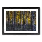 Big Box Art Sunlight Forest Vol.4 Painting Framed Wall Art Picture Print Ready to Hang, Black A2 (62 x 45 cm)