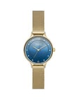 Skagen Anita Lille Ladies Traditional Watches Stainless Steel Mesh