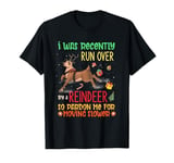 I Was Recently Run Over By A Reindeer Christmas So Pardon Me T-Shirt