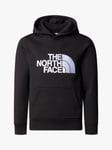 The North Face Kids' Drew Peak Hoody