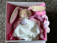 Doudou et Compagnie Pink Purple Rabbit Comforter Soft Toy Plush Cute Dummy Clip