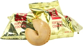 Garden Chinese Fortune Cookies Individually Wrapped Biscuit Snacks (20 Pcs) 140g