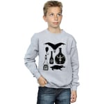 Sweat-shirt enfant Fantastic Beasts  BI16774