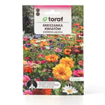 Wildflower Seed Mix - Hurtigvoksende blomsterbed i duse pastellfarger