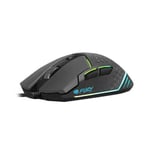 Souris Gaming Fury NFU-1654 RGB 6400 DPI Noir 6400 dpi