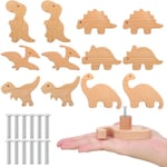 Qunclay Lot de 12 boutons d'armoire décoratifs en bois avec vis, poignées de commode, boutons de commode, boutons de meubles, poignées de tiroir de chambre d'enfant (dinosaure)