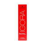 Schwarzkopf Igora Royal 8-00 Permanent Color Creme 60ml