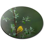 Round Mouse Mat  - Little Yellow Bird Tree Rain Nature  #45583