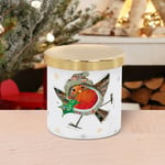 Lesser & Pavey Christmas Jar Candle | Cashmere & Silk Fragrance | Robin Holly Jar Candle Perfect For Xmas - Bug Art