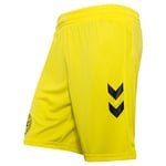 Danmark Keepershorts 2024/25 Barn - Hummel, størrelse 152 cm