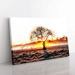 Big Box Art Sunlight Through The Oak Tree in Abstract Canvas Wall Art Print Ready to Hang Picture, 76 x 50 cm (30 x 20 Inch), White, Brown, Orange, Brown, Yellow