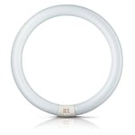 Philips G10q 32W 830 Pyöreä loistel. Master Circular TL-E