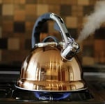 3.5 LITRE COPPER STAINLESS STEEL WHISTLING KETTLE GAS ELECTRIC & INDUCTION HOBS