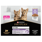 Cat Wet Kitten Healthy Start med kalkun i saus 85 g x 10 stk. - Katt - Kattefôr - Purina Pro Plan