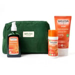 WELEDA - TROUSSE SOINS HYGIENE SPORT : Roller à l'Arnica + Huile de Massage à l'Arnica + Gel Douche Sport à l'Arnica - Préparation et récupération sportives - NATRUE* - Vegan*** -75+100+200 ml