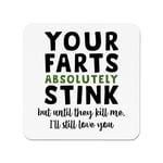 Your Farts Absolutely Stink Kill Me I'll Love You Fridge Magnet Valentines Joke