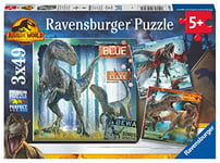 Ravensburger - Puzzle Enfant - Puzzles 3x49 p - T-rex et autres dinosaures / Jurassic World 3 - Dès 5 ans - Puzzle de qualité supérieure - 3 posters inclus - 05656