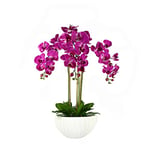 GreenBrokers Orchidées artificielles de qualité supérieure dans Un Pot en céramique Contemporain (Hauteur : 80 cm, 3 tiges, 27 Fleurs