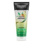 John Frida Detox & Repair Shampoo - 250 ml