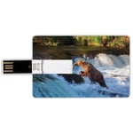 64G USB Flash Drives Credit Card Shape Waterfall Memory Stick Bank Card Style Image of Large Bear by a Rock in Alaska Waterfall Wildlife in Earth Art Print Decorative,Multi Waterproof Pen Thumb Lovely