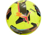 Puma Orbita 2 Tb Fifa Quality Pro Fotboll 84323 03 5