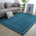 (sininen-50x200cm kapea reuna)Iso Tatami-matto olohuoneeseen Vauvan ryömivä Makuuhuoneen Lattiamatot Paksu 2cm Leikkimatot Coral Fleece Pehmeä Patja Mattomatto