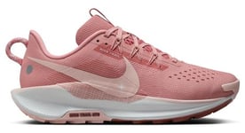 Nike Pegasus Trail 5 - femme - rose