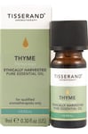 Tisserand Aromatherapy - Thyme Thymus Zygis Ethically Harvested (9 ml)