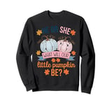 He or She What Will Our Little Pumpkin Be Halloween Gender Sweatshirt