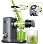 AMZCHEF Cold Press Juicer Machine, Masticating with 50MM Large Grey 