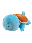 Pokemon Sleeping (Squirtle)